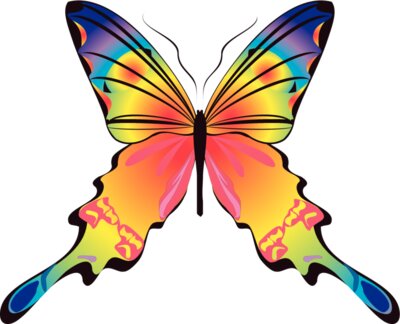 Butterflies36