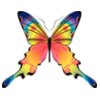 Butterflies36